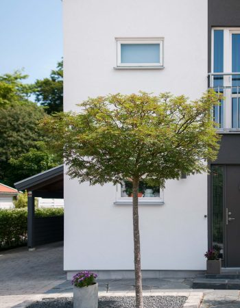 Fasadrenovering malmö